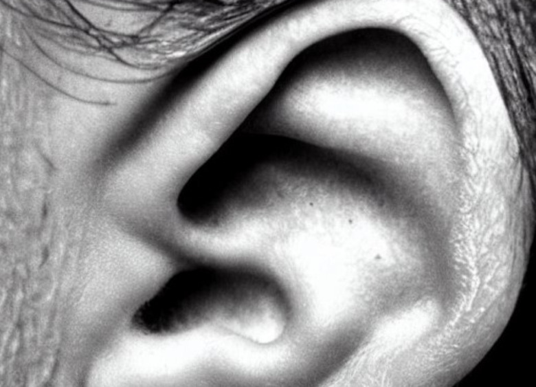 【悲報】耳舐められて嬉しい？同人音声の「耳舐め」のブームが意味わからない！のトップ画像