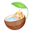 SAMPLE | cocont-no-yakata